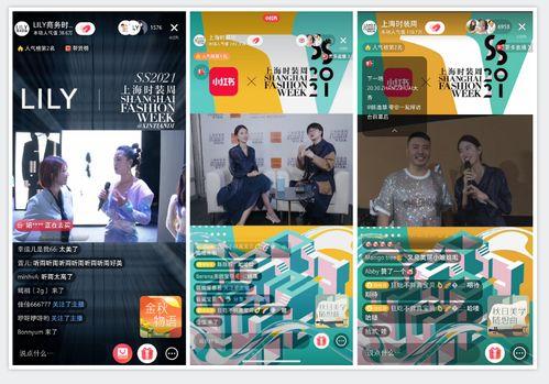 上海直播在线观看,实时在线观看，尽享城市风采  第2张